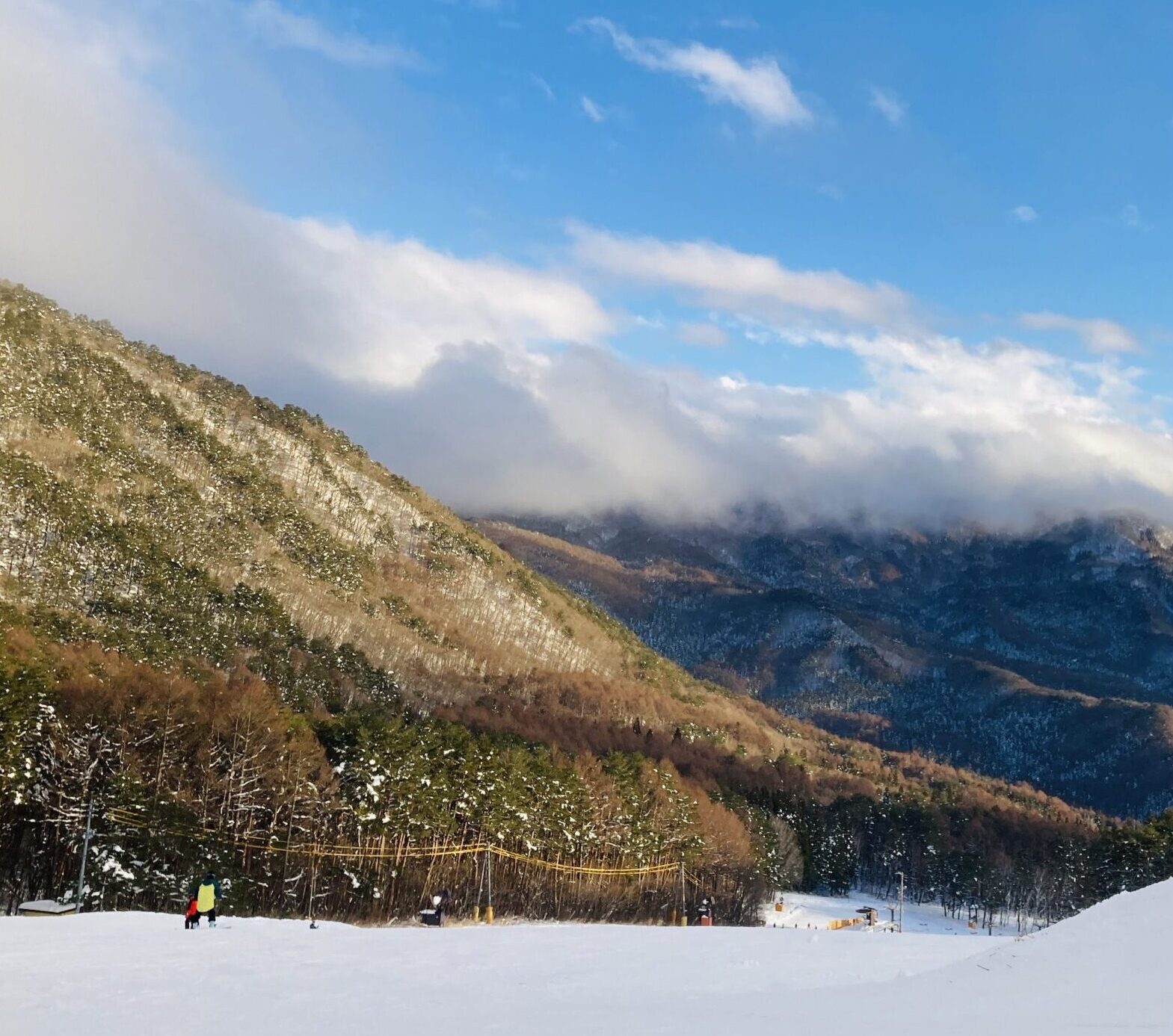 WordPress始めました。